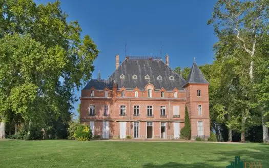 Magnificent 19th Century Château and its Outbuildings 25 Minutes from Toulouse