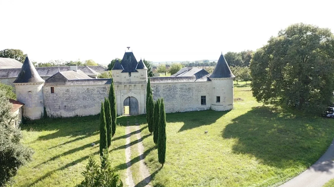 Distinguished Castle For Sale in Vienne Poitou Charantes France