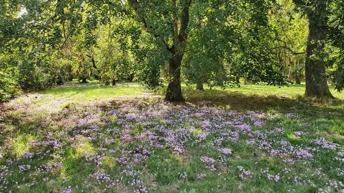 Castle Haute Garonne Midi Pyrenees France